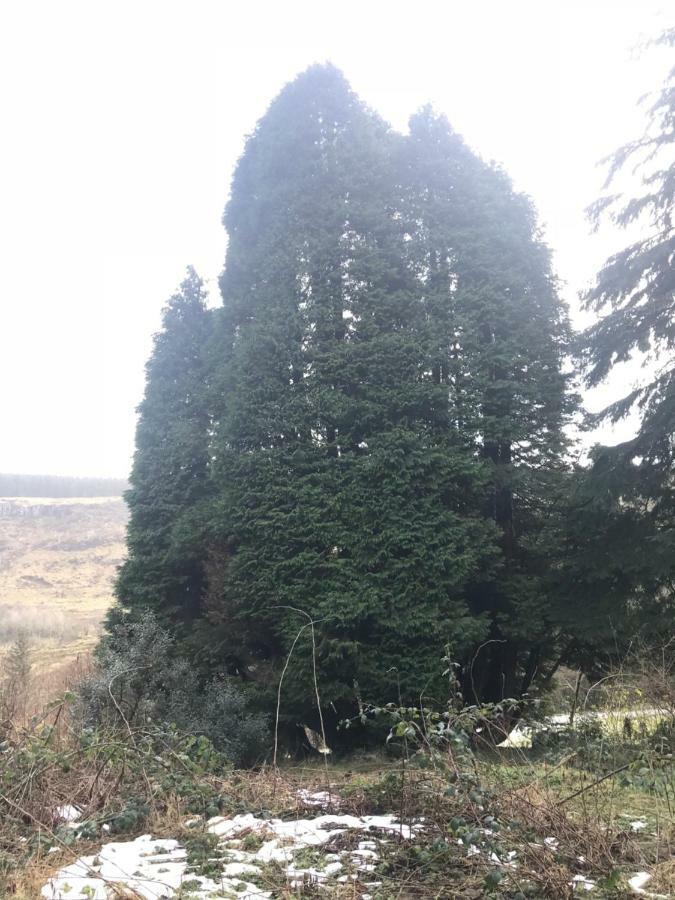 Ballymacdoe Cottage Cushendall Luaran gambar